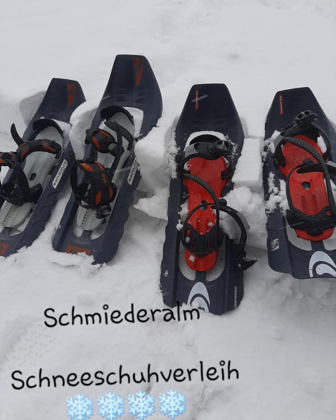 Gasthof Schmiederalm Aldino Extérieur photo